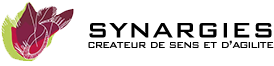 logo synargies